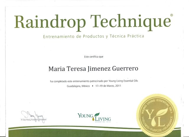 Certificado entregado al terminar el curso